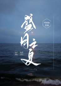 盛夏之吻小说